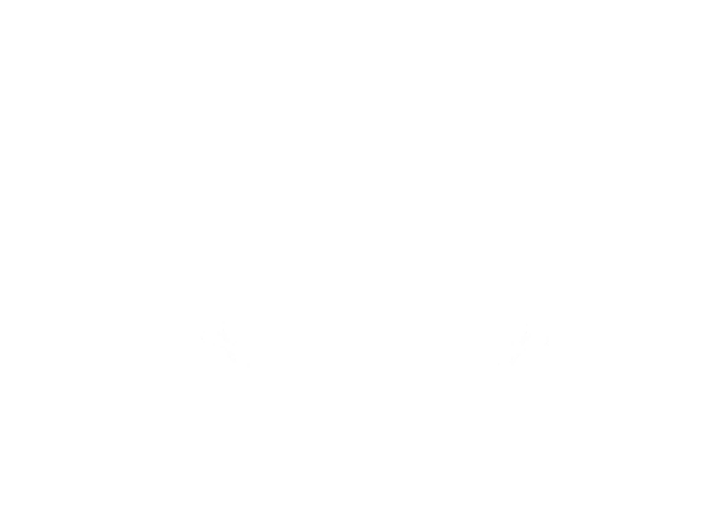 Belleisart Shop